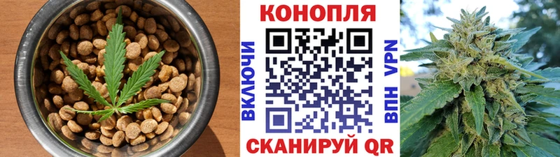 Еда ТГК конопля  mega ONION  сайты даркнета какой сайт  как найти закладки  Терек 